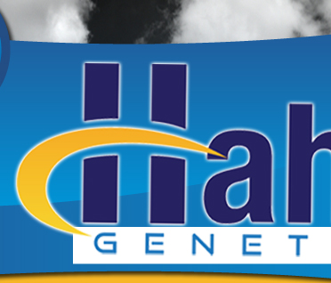 Hahn Genetics