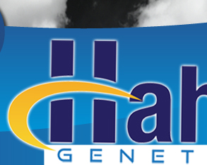 Hahn Genetics